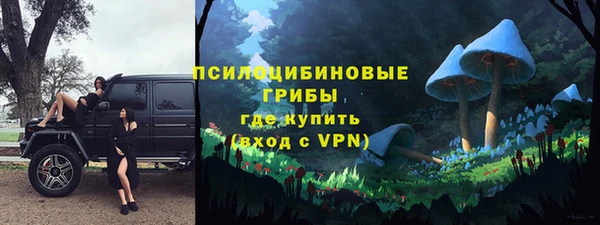 шишки Баксан