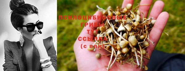 гашишное масло Армянск