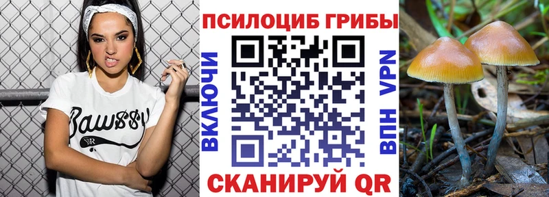 Псилоцибиновые грибы Magic Shrooms  Барыш 